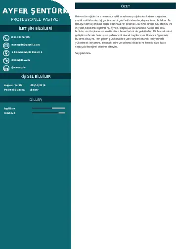 Pastacı Cv Örnekleri cv indir